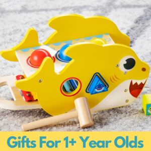 Pidoko Kids Baby Shark Toys for 1 Year Old - Montessori Learning, Hammering & Pounding Toy - Birthday Gifts for Toddlers Boys & Girls - Xylophone & Shape Sorter Blocks