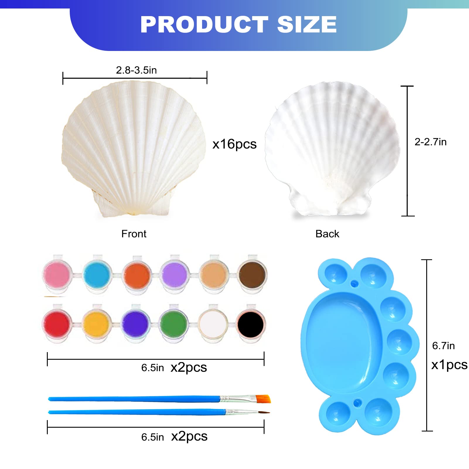 LUCKY BABY Seashells Painting Kit for Kids 16pcs, Arts and Crafts Kits for Girls Boys Age 6 7 8 9 10 11 12, Natural Sea Shells DIY Painting with Watercolor Paints and Brush 2.7-3.5 Inches