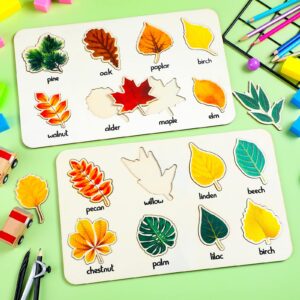 2 Pack Leaf Wooden Jigsaw Puzzles Preschool Puzzles Leaf Puzzle Montessori Toy Educational Plant Puzzle Leaf Shape Early Educational Learning Puzzle for Birthday Gift School Games