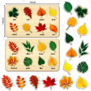 2 Pack Leaf Wooden Jigsaw Puzzles Preschool Puzzles Leaf Puzzle Montessori Toy Educational Plant Puzzle Leaf Shape Early Educational Learning Puzzle for Birthday Gift School Games