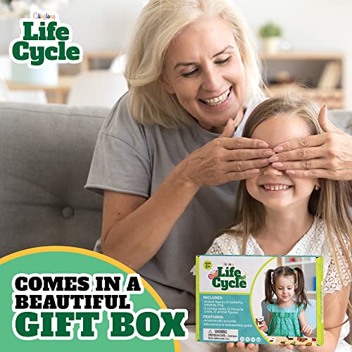 Life Cycle Kit Montessori - Realistic Figurine Toys, Kids Animal Matching Game with Frog, Ladybug, & More - Includes 24-Piece, Science, Learning & Education Toys, Fun Learning Game for Children 3+