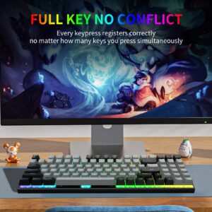 HUO JI E-YOOSO Z-19 Mechanical Gaming Keyboard with Number Pad, True RGB Backlit, 5 Pin Hot Swappable Red Switches, Pro Software Supported, Wired Compact 94 Keys for PC/Computer, Grey Black