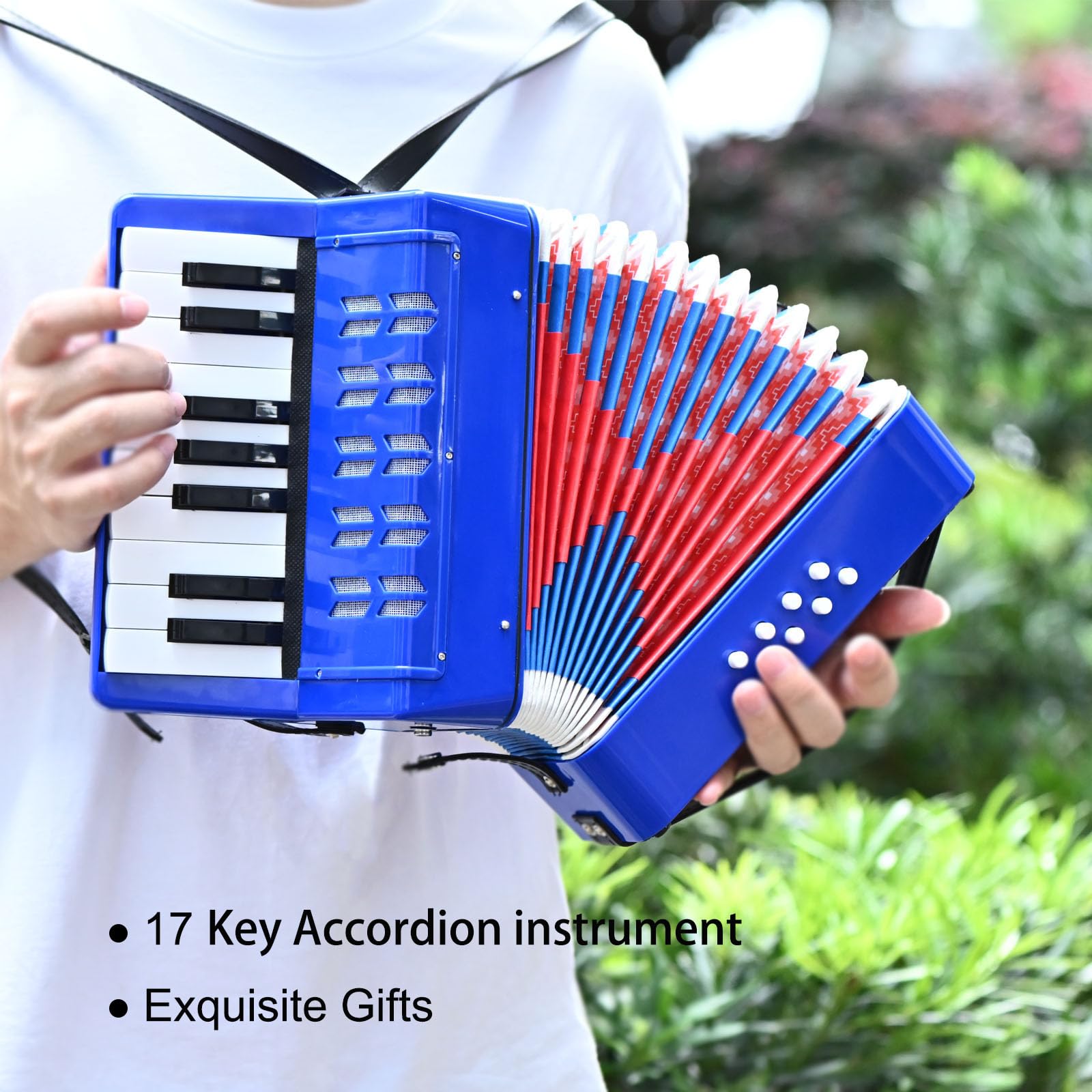 AIMEIS Accordion 17 Piano Keys 8 Bass Button Kids Accordian,Musical Instrument Mini Accordion (Blue)