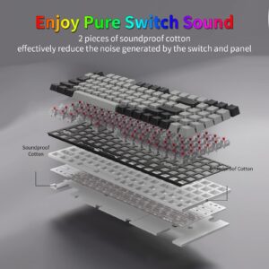 HUO JI E-YOOSO Z-19 Mechanical Gaming Keyboard with Number Pad, True RGB Backlit, 5 Pin Hot Swappable Red Switches, Pro Software Supported, Wired Compact 94 Keys for PC/Computer, Grey Black