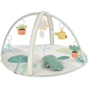 Skip Hop Garden Oasis Activity Gym & Infant Toy Bundle Gift Set