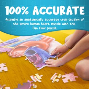 Human Heart Anatomy Floor Puzzle — Genius Games Doctor Livingston Jr Anatomy Toy - Kids Puzzles & Science Toys - Human Heart Anatomy Model - 100 Piece Jigsaw Puzzles for Kids, Toddlers, Teens