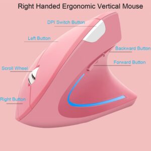 Wireless Mouse Ergonomic Vertical Mouse Ergo LED Light High Precision Optical Cordless Lightweight Mice Gift for Boy Girl Adults for PC Computer Laptop Mac Office,with Side Buttons, 800/1200/1600 DPI