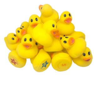 Yellow Rubber 2.5" Ducky Matching Game (20 Pack) 1 to 10 Numbers. Soft Rubber Duckies. (10 starred & 10 unstarred) Memory Game for Kids. Fun Educational Learning Toy Preshcoolers Develops Memory