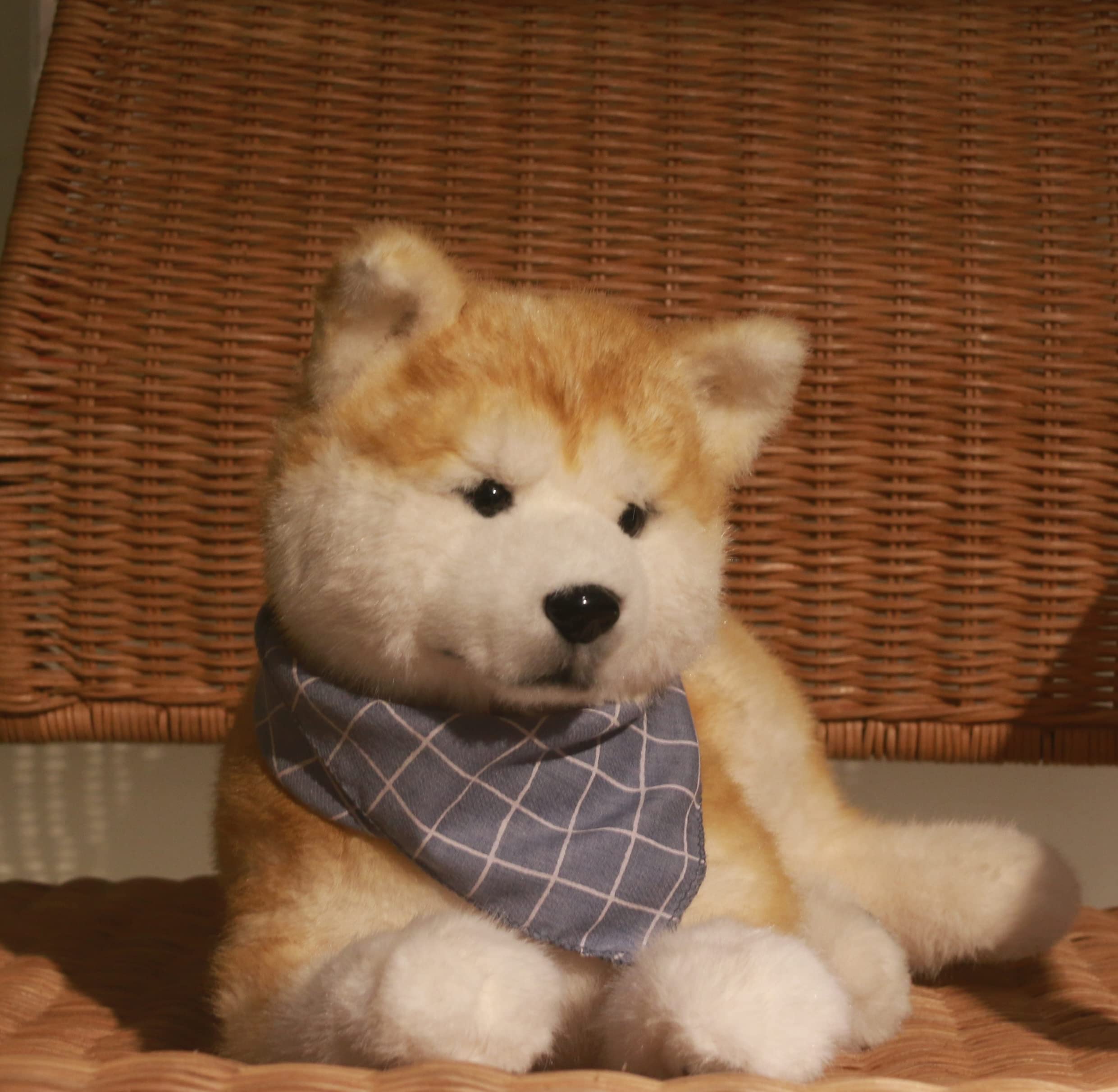 Chongker Dog Stuffed Animals Shiba Inu Dog Plush - Handmade Realistic Dog Toy,Cuddly Plush Puppy Companion Pet