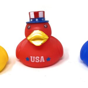 Bulk 20 Pack Patriotic Rubber Ducky Assortment - Perfect for Memorial Day, 4th of July, Labor Day or Veteran's Day