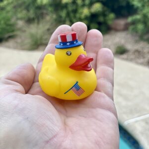 Bulk 20 Pack Patriotic Rubber Ducky Assortment - Perfect for Memorial Day, 4th of July, Labor Day or Veteran's Day