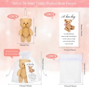 Zhanmai Set of 12 Mini Plush Bears Gift Little Pocket Bear Inspirational Bear Hug Gift Card Organza Bags for Party Favors Stocking Suffers for Class