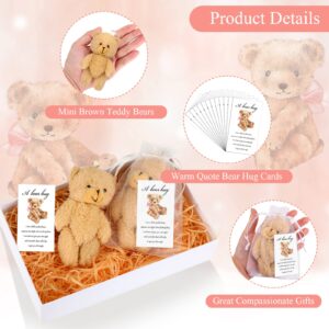 Zhanmai Set of 12 Mini Plush Bears Gift Little Pocket Bear Inspirational Bear Hug Gift Card Organza Bags for Party Favors Stocking Suffers for Class