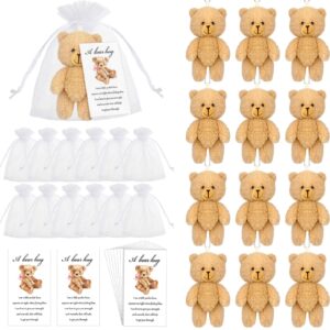 Zhanmai Set of 12 Mini Plush Bears Gift Little Pocket Bear Inspirational Bear Hug Gift Card Organza Bags for Party Favors Stocking Suffers for Class