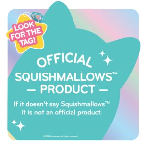 Squishmallows 10-Inch Sky The Teal Squid - Official Jazwares Plush - Collectible Soft & Squishy Sea Stuffed Animal Toy - Add to Your Squad - Gift for Kids, Girls & Boys