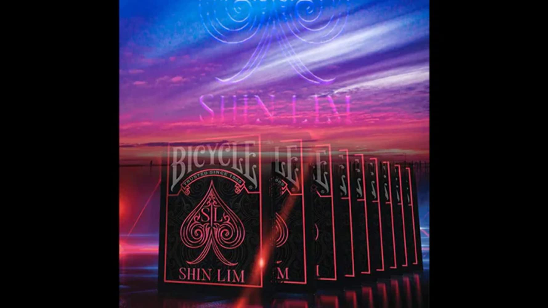 Bicycle Shin Lim Magic Special Edition Playing Cards, 1 Deck , Black