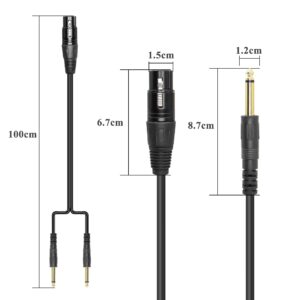 QIANRENON XLR Female to Dual TS 1/4 Stereo Splitter Cable 3-Pin XLR to Dual 6.35mm Mono Y Splitter Conversion Extension Audio Cable,for Microphone Guitars Amplifier Mixer,1m/3.2ft