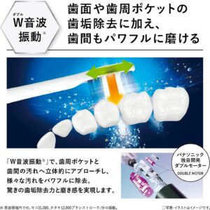 Panasonic EW-DP56 Doltz High Grade Model with Bluetooth Electric Toothbrush AC100-240V Shipped from Japan Released in 2022 (Sliver)