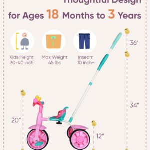 KRIDDO 2 in 1 Kids Tricycles Age 18 Month to 3 Years, EVA Wheels Upgraded, Gift, Trikes for Toddlers 2 to 3 Year Old with Push Handle and Duck Bell, Pink