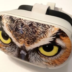 Owl Decal for Meta/Oculus Quest 2 VR Headset - Glossy Vinyl Sticker