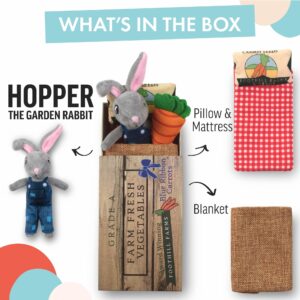 Foothill Toy Co. Animals in Boxes - 'Hopper The Garden Rabbit' Playset with Stuffed Bunny in a Vegetable Crate Bed