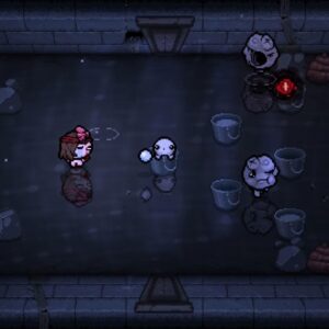 The Binding of Isaac: Repentance(ザ バインディング オブ アイザック リペンタンス) -PS4