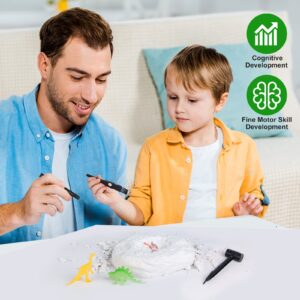 Dinosaurs Dig Kit Digging Set, Educational DIY Toys Science Kit-Dig Up Unique Real Dinosaurs, Geology Archaeology Gifts for Boys Girls Kid Toys