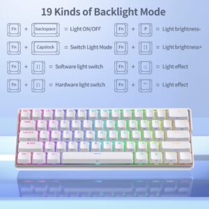 KEMOVE Snowfox DK61 60% Wireless Mechanical Gaming Keyboard, 2.4G/Type-C/Bluetooth, Hot Swappable RGB Backlit 61 Keys, Anti Ghosting/N-Key Rollover 3000mAH Battery, Red Switch/White