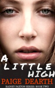 a little high (rainey paxton series book 2)