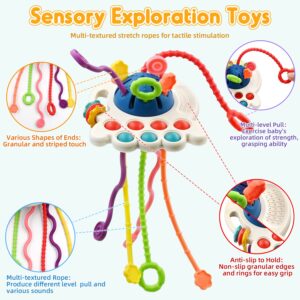 AiTuiTui Sensory Montessori Baby Toys 6 to 12 Months, Toddler Travel Toys for 1 2 Year Old Boy Girl Birthday Gifts, Soft Pull String Fidget Educational Learning Bath Toys for 9 10 18 Months Infants