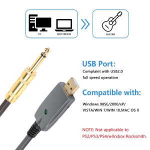 SinLoon USB Guitar Cable,10FT USB 2.0 Interface Male to 6.35mm (1/4inch) TS Mono Electric Guitar Converter Cable, Nylon Braid Recording Cable, for Instruments Recording Singing (USB to 6.35 Gold)