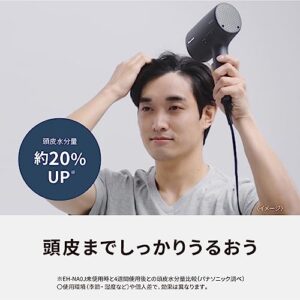 Panasonic EH-NA0J Hair Dryer Nanocare High Penetration Nanoe & Mineral Deep 100V only Shipped from Japan Released in 2022 (Deep Navy)