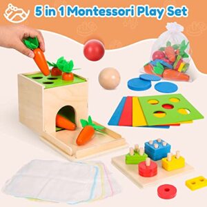 Woodtoe Montessori Toys for Babies 3 Year Old, Wooden Educational Toy, 5 in 1 Play Kit Set with Object Permanence Box, Baby Tissue Box, Carrot Harvest, Coin Box, Toddler Early Development Toy for Baby