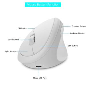 CHUYI Ergonomic Wireless Mouse, Vertical Rechargeable Wireless Mouse, 400mAh 800/1200/1600 DPI Portable Optical Cordless Mouse for PC Computer Laptop Office for Small Middle Right Hand (White)