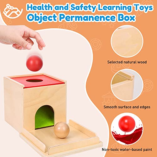 Woodtoe Montessori Toys for Babies 3 Year Old, Wooden Educational Toy, 5 in 1 Play Kit Set with Object Permanence Box, Baby Tissue Box, Carrot Harvest, Coin Box, Toddler Early Development Toy for Baby