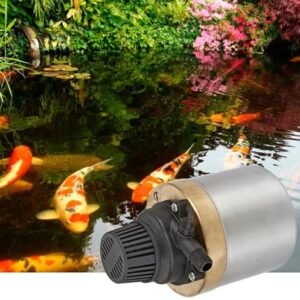 Little Giant S580PT-20 115 Volt, 740 GPH Oil-less Stainless Steel and Bronze Direct Drive Pump for Fresh or Salt Water Ponds or Fountains, Steel, 517100002