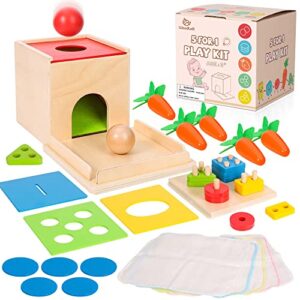 Woodtoe Montessori Toys for Babies 3 Year Old, Wooden Educational Toy, 5 in 1 Play Kit Set with Object Permanence Box, Baby Tissue Box, Carrot Harvest, Coin Box, Toddler Early Development Toy for Baby