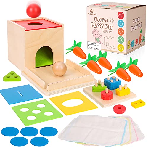 Woodtoe Montessori Toys for Babies 3 Year Old, Wooden Educational Toy, 5 in 1 Play Kit Set with Object Permanence Box, Baby Tissue Box, Carrot Harvest, Coin Box, Toddler Early Development Toy for Baby