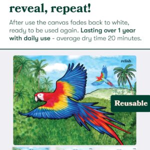 Relish Magnificent Birds Aquapaints - Pack of 5 Reusable Water Painting Activities, Products & Aids for Elderly