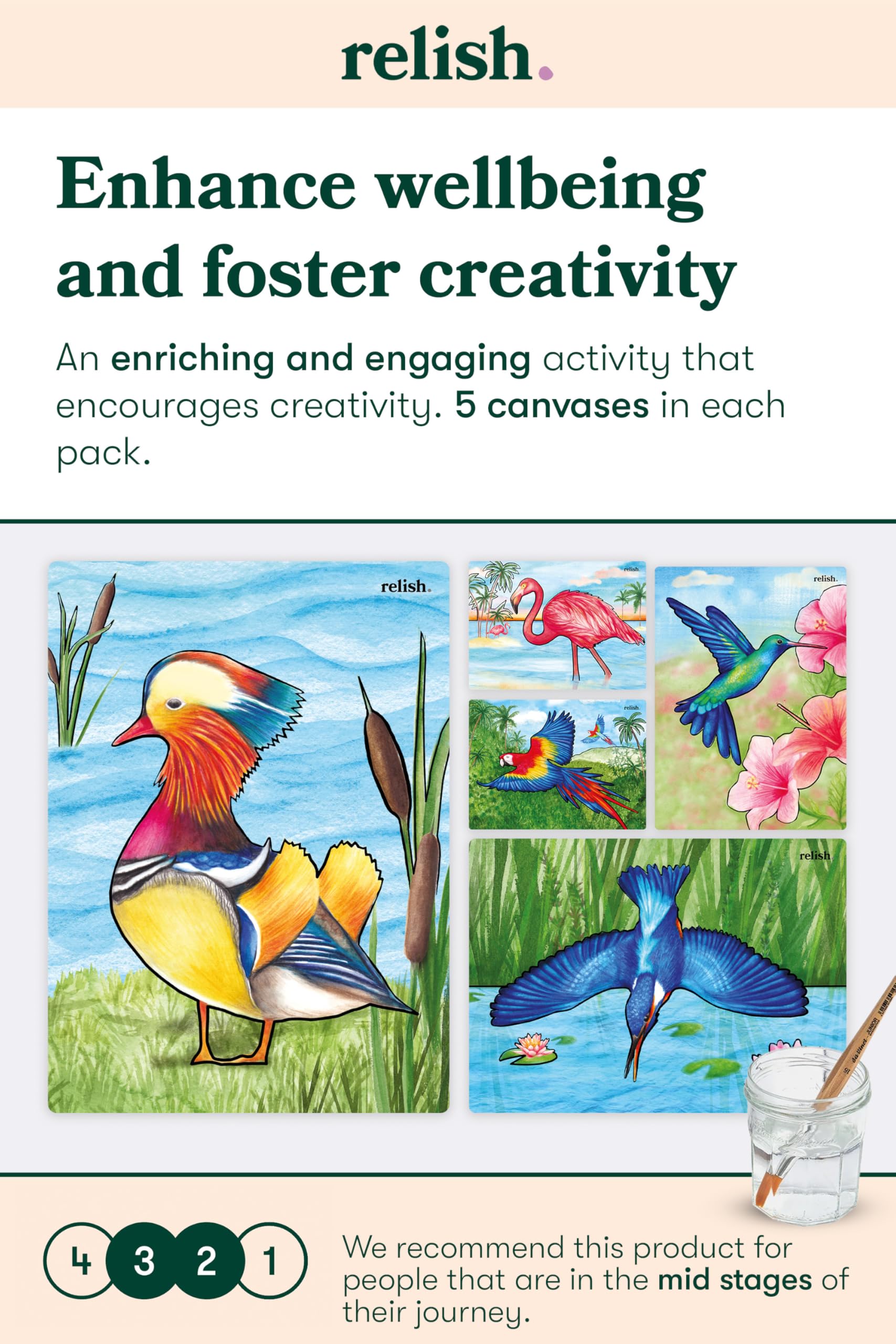 Relish Magnificent Birds Aquapaints - Pack of 5 Reusable Water Painting Activities, Products & Aids for Elderly