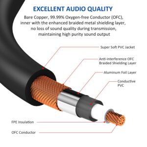 DREMAKE Dual 3-Pin XLR Male to Dual 6.35mm 1/4'' TS Mono Microphone Patch Cable, 10FT XLR to TS 1/4'' 6.35mm Splitter Adapter Cable, Dual 1/4 Inch Mono to Dual XLR Unbalanced Mic Audio Cord