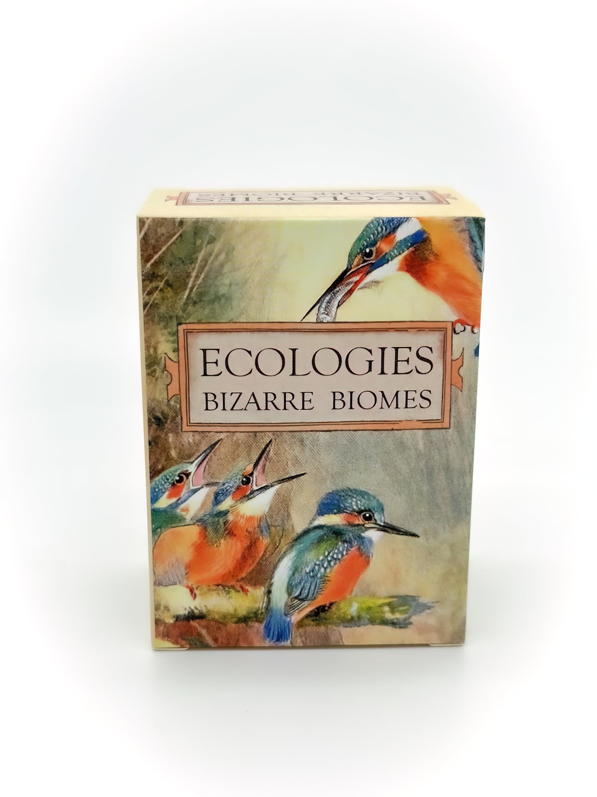 Montrose Biology Ecologies: Bizarre Biomes - Use Science to Build Food Webs in 7 Biomes - Beautiful Vintage Nature Art for The Classroom or Game Night