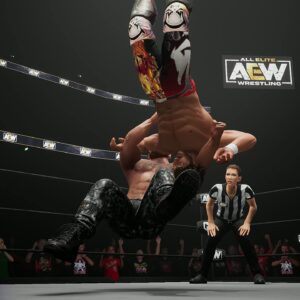 AEW: Fight Forever - PC