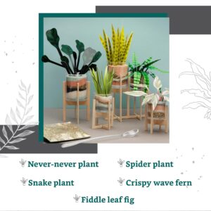 Craft Crush Faux Plant Sand Craft Kit - DIY Home Decor for Desk, Dresser & Office