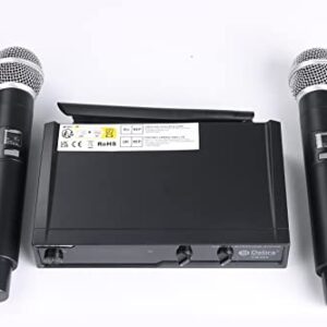 D Debra Audio VM302 VHF Wireless Microphone System with Dual Handheld Mic Have XLR Interface for Home Karaoke Wedding Conference Speech (VM302)