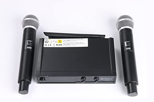 D Debra Audio VM302 VHF Wireless Microphone System with Dual Handheld Mic Have XLR Interface for Home Karaoke Wedding Conference Speech (VM302)