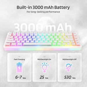 LTC Neon75 Wireless 75% Triple Mode BT5.0/2.4G/USB-C Hot Swappable Mechanical Keyboard, 84 Keys Bluetooth RGB Compact Gaming Keyboard with Software, PBT Pudding Keycaps