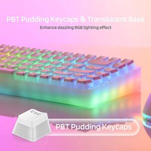 LTC Neon75 Wireless 75% Triple Mode BT5.0/2.4G/USB-C Hot Swappable Mechanical Keyboard, 84 Keys Bluetooth RGB Compact Gaming Keyboard with Software, PBT Pudding Keycaps