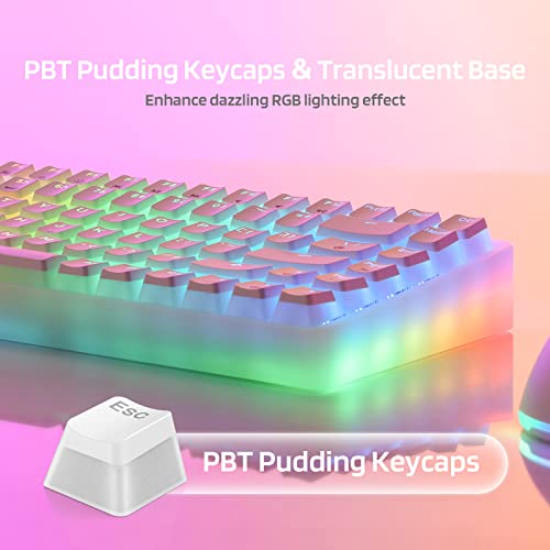 LTC Neon75 Wireless 75% Triple Mode BT5.0/2.4G/USB-C Hot Swappable Mechanical Keyboard, 84 Keys Bluetooth RGB Compact Gaming Keyboard with Software, PBT Pudding Keycaps