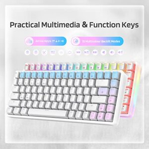 LTC Neon75 Wireless 75% Triple Mode BT5.0/2.4G/USB-C Hot Swappable Mechanical Keyboard, 84 Keys Bluetooth RGB Compact Gaming Keyboard with Software, PBT Pudding Keycaps